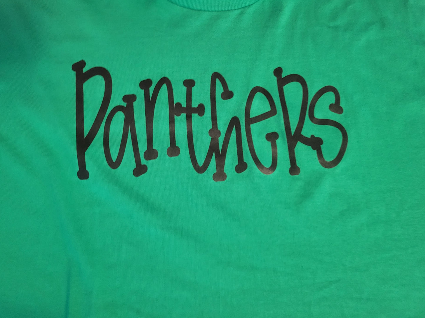 Panthers T Shirt